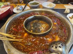 -一斗火锅·招财羊毛肚(北温泉九号店)