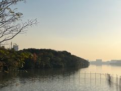 -艾溪湖湿地公园