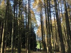 -山王坪喀斯特国家生态公园