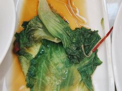-船歌·鱼水饺青岛菜(国贸商城店)
