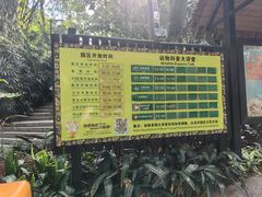 -广州长隆飞鸟乐园