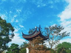 -上海滨江森林公园
