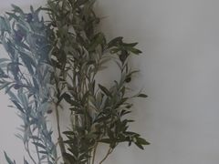 -伊斯坦布尔土耳其清真咖啡餐厅