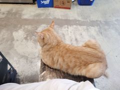 -锤子火锅(百步亭金桥汇2期店)