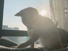 -吾家香港烧腊专门店