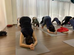 -加帕瑜伽培训学院