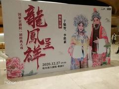 -哈尔滨大剧院
