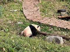 -黔灵山公园