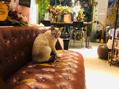 -花十悦·鲜花咖啡餐厅(振业城一期店)