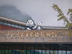 -卧龙中华大熊猫苑神树坪基地