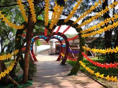 -北海金海湾红树林生态旅游区