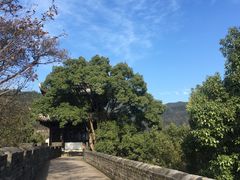 景点-台州府城(江南长城)