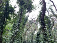 -华南国家植物园-售票处