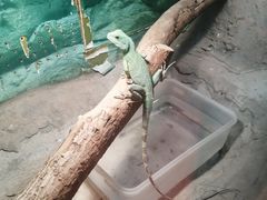 -上海昆虫博物馆