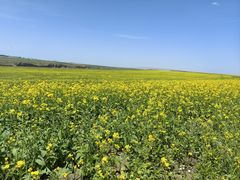 -扁都口生态休闲旅游区