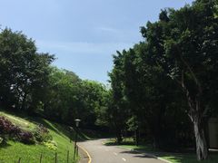 -深圳国际园林花卉博览园