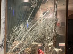 -星聚会KTV(景枫中心店)