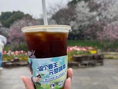 -苏州上方山国家森林公园