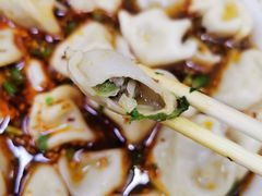 酸汤牛肉水饺-回坊马二饺子馆