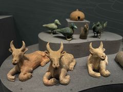 -广西壮族自治区博物馆