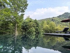 -宁海安岚·南溪阁全日餐厅