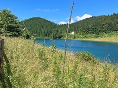 -武陵山森林公园