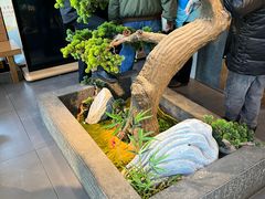 -松子料理(亮马桥店)