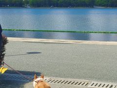 -尚贤河湿地