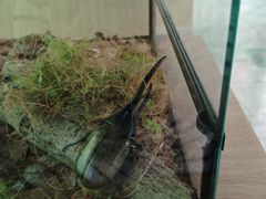 -昆山招商花园城
