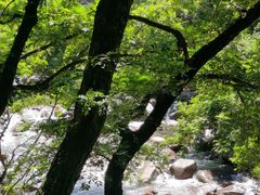 -崂山九水游览区