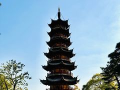 -龙华素斋(龙华路店)