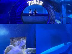-正佳极地海洋世界