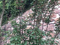 -西部长青自然儿童乐园