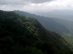 -王顺山国家森林公园