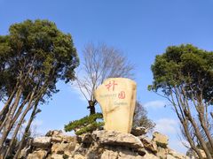 -朴园