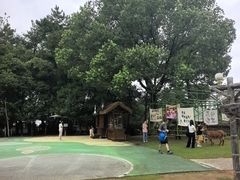 -杭州千岛湖开元度假村