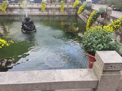 -上海醉白池公园