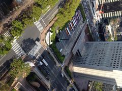 房间里望出去的风景-东京希尔顿酒店