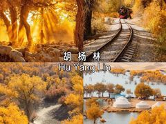 -新疆国际大巴扎