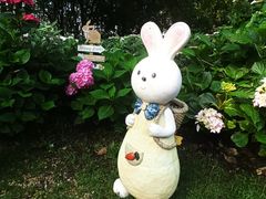 -上海共青森林公园