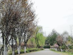 -白鹭湾湿地公园