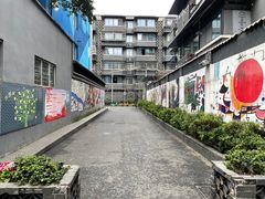-泡桐树街
