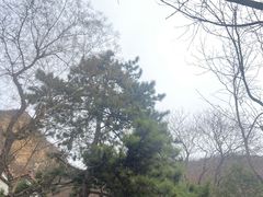 -圣莲山风景区