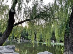 -熙春园餐厅