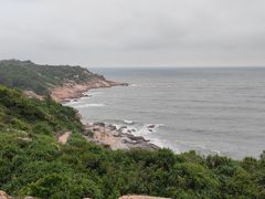 -广东惠东海龟国家级自然保护区