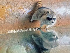 -杭州野生动物世界