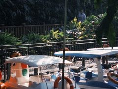 -晓港公园