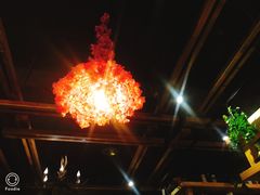 -花语咖啡