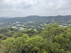 -大屏嶂森林公园