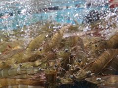 -徐记海鲜(观沙岭|滨江新城店)